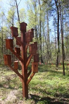 Nesting box bird house on a tree. Vertical Photo Фото