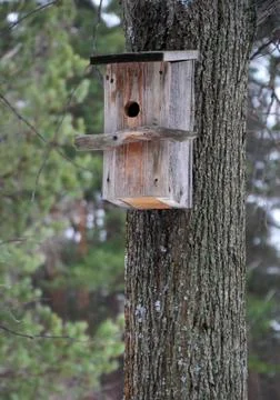 Nesting box (birdhouse) Stock Photos