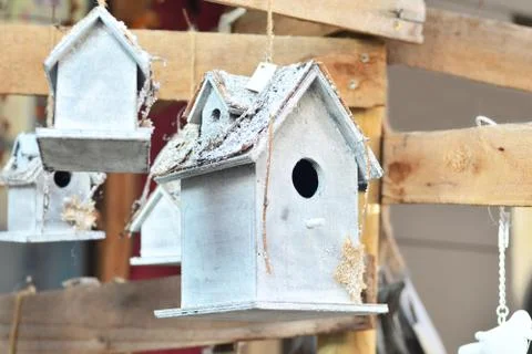 Nesting box for birds Fotos Stock