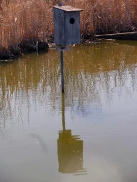 Nesting Box in a Marsh Stock Photos