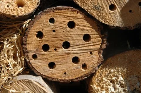 Nesting box Foto stock