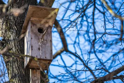 Nesting box Foto stock