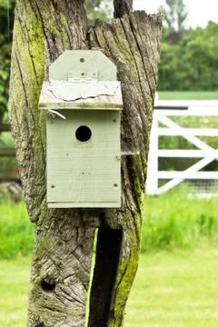 Nesting box Stock Photos