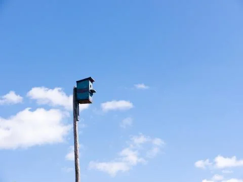 Nesting box. Stock Photos