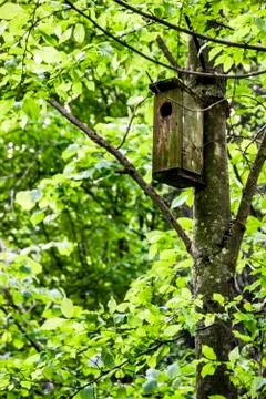 A nesting box Stock Photos