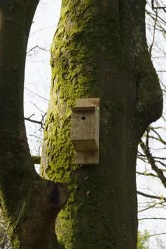 Nesting Box Stock Photos