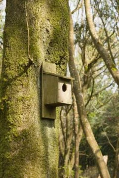Nesting Box Stock Photos