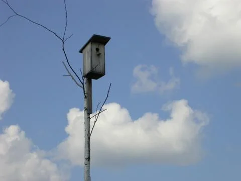 Nesting box Stock Photos