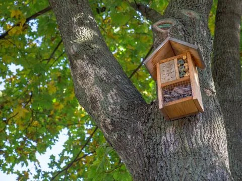 Nesting box Stock Photos