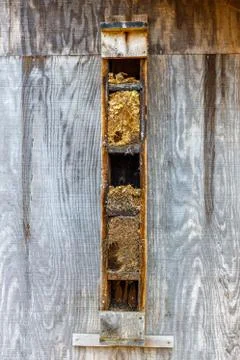 Nesting Box Stock Photos