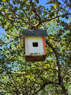 Nesting box Stock Photos