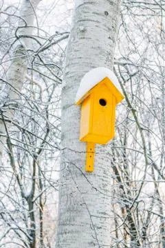 Nesting box on tree covered by snow on cold winter park. Stock Photos