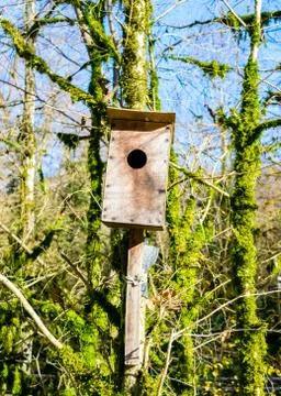Nesting box on a tree Stock Photos