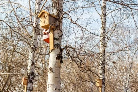 Nesting box on a tree Stock Photos