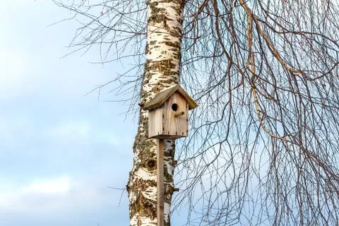 Nesting box on a tree Stock Photos