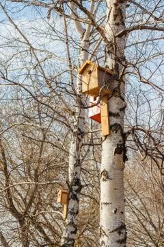 Nesting box on a tree Stock Photos