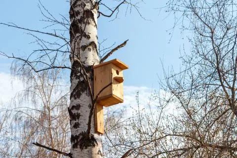 Nesting box on a tree Foto stock