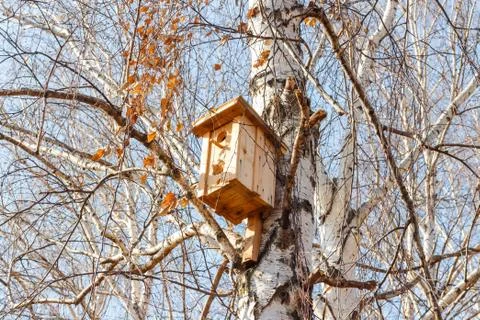 Nesting box on a tree Stock Photos