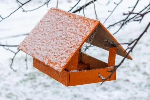 Nesting box on a tree in the winter park Stock Photos