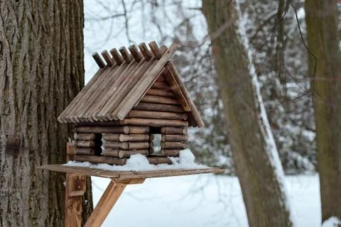 Nesting box in winter, Pavlovsk Stock Photos