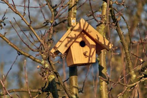 Nesting boxes at an apple tree in the sunlight Stock Photos