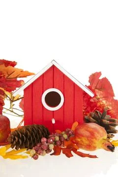 Nesting boxes Nesting boxes with leaves and fruit Copyright: xZoonar.com/I... Stock Photos