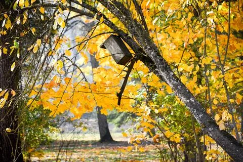 Nesting grounds for poor Foto stock