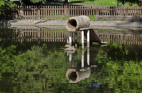 A nesting place for ducks built into the lake in the city garden Stock Photos