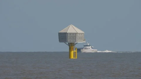 Nesting structure for vulnerable seabirds Stock Footage 242849754