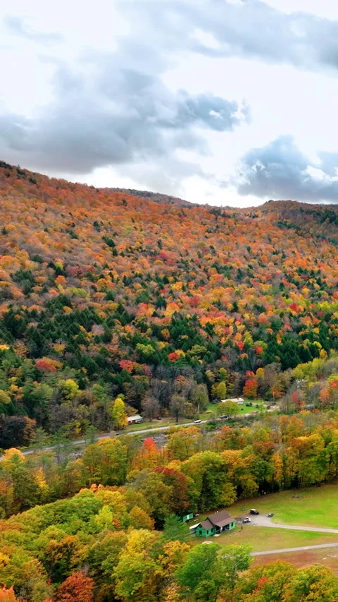 Nestled at the base of a forested mountain, a few buildings peek Stock Footage 317813410