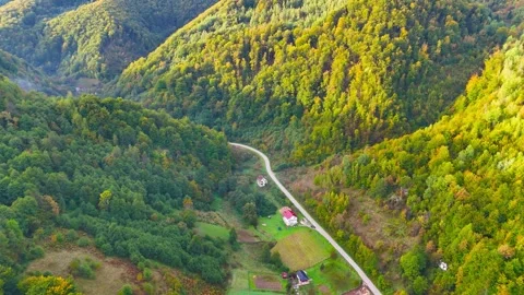 Nestled in Green Stock Footage 297237844