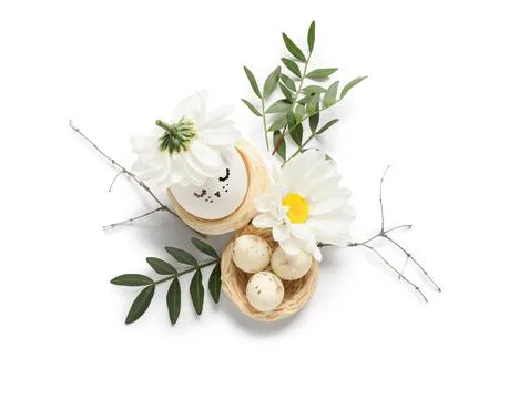 Nests with creative Easter eggs, flowers and leaves isolated on white backgro Stock Photos