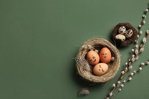 Nests of cute painted Easter eggs with drawn face and pussy willow branches o Stock Photos