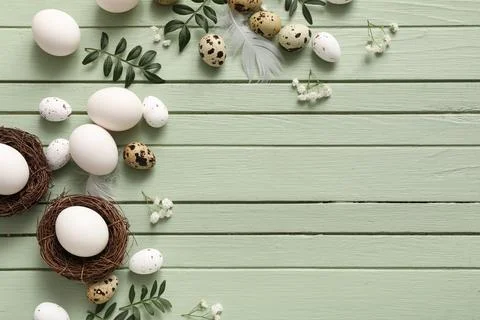 Nests with Easter eggs, leaves, feathers and gypsophila flowers on green wood Stock Photos
