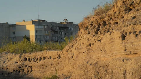 The nests of swallows in a sand quarry Video stock 24863700