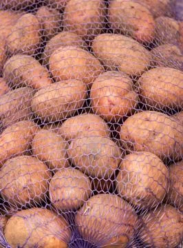 A net-bag with potatoes inside Stock Photos