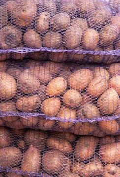 A net-bag with potatoes inside Stock Photos
