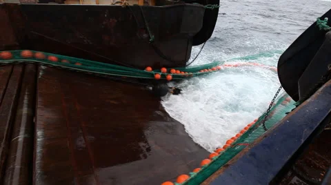 Net with caught fish pulled on board the fishing ship Stock Footage 42901455