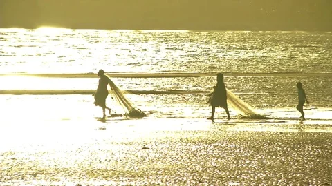 Net fishing in Fiji Stock Footage