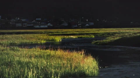 Net flows the river in a small valley among the mountains of the field. Stock Footage