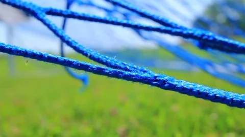 Net Stock Footage 79226670