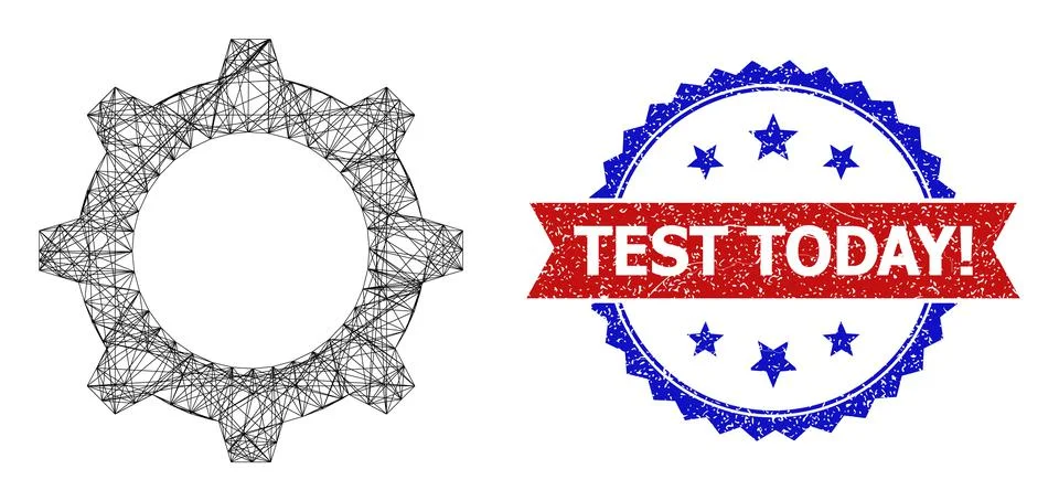 Net Gear Web Mesh and Grunge Bicolor Test Today! Stamp Seal Illustrazione stock