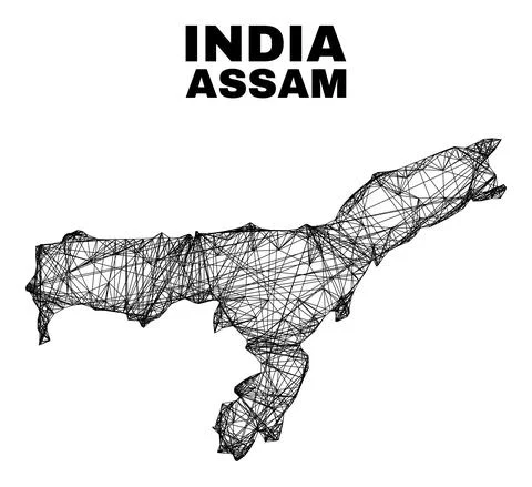 Net Irregular Mesh Assam State Map Illustrazione stock