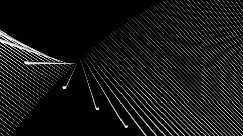 Net lines dance Video stock 44426408