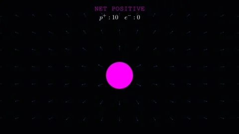 Net neutral, net positive, and net negative charges 스톡 동영상 335764323