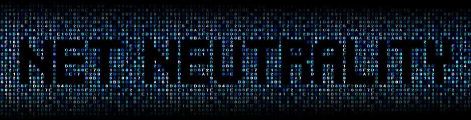 Net Neutrality text on hex code illustration Stock Illustration