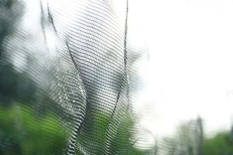 Net pattern close up. Rope net . Soccer, football, volleyball, tennis and t.. Stock Photos