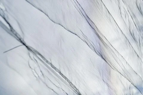 Net pattern close up. Rope net . Soccer, football, volleyball, tennis and t.. Stock Photos