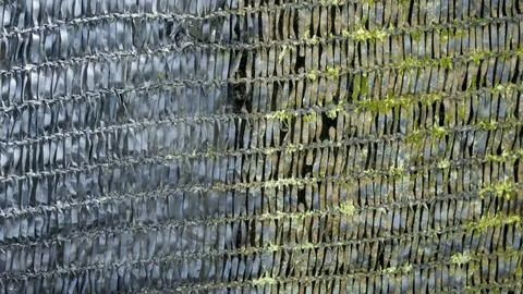 A net of plastic has different colors and can be used as a backdrop Stock Photos
