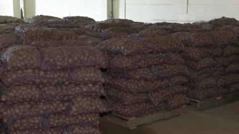 Net sacks with potatoes in the food store. Stock-Footage 164507562